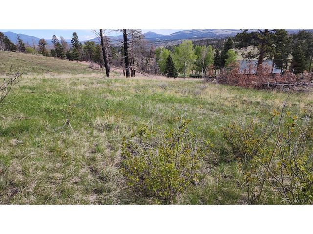 449 Duckworth Dr, Fort Garland, CO 81133