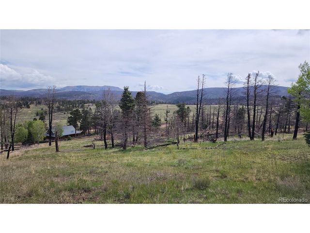 449 Duckworth Dr, Fort Garland, CO 81133