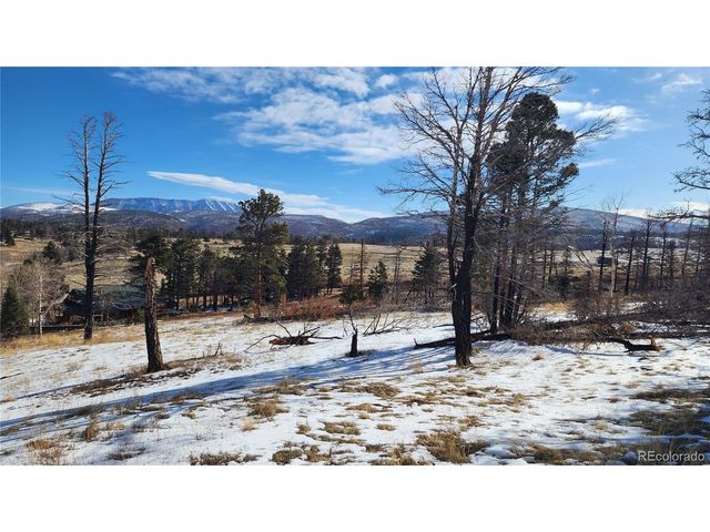 449 Duckworth Dr, Fort Garland, CO 81133