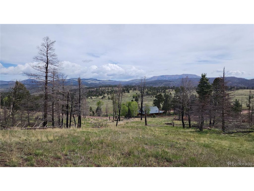 449 Duckworth Dr, Fort Garland, CO 81133