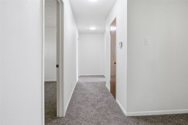 557 FM 196, Pattonville, TX 75468