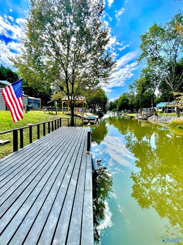 805 Pine Cone Street, Leesburg, AL 35983