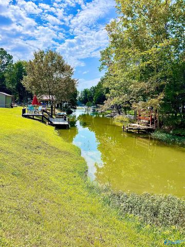 805 Pine Cone Street, Leesburg, AL 35983