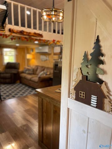 805 Pine Cone Street, Leesburg, AL 35983