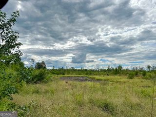 0 Hwy 319, Dublin, GA 31021