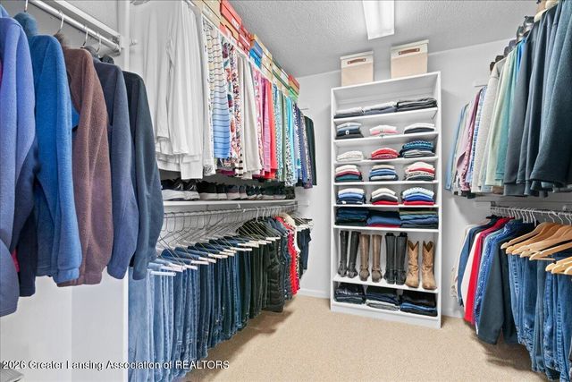 13282 Blaisdell Drive, Dewitt, MI 48820