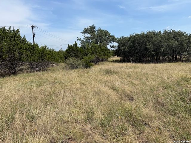 105 S Jerry Gray, Blanco, TX 78606