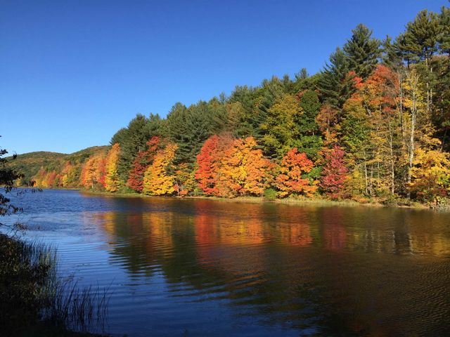 3924 Sweet Pond Road, Guilford, VT 05301