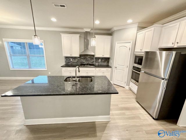 115 Pointe Haven Court, Huntsville, AL 35824