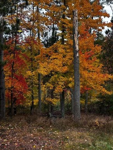 28478 Jesse Ryan Court, Danbury, WI 54830