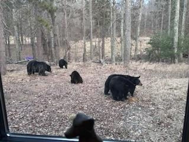 28478 Jesse Ryan Court, Danbury, WI 54830