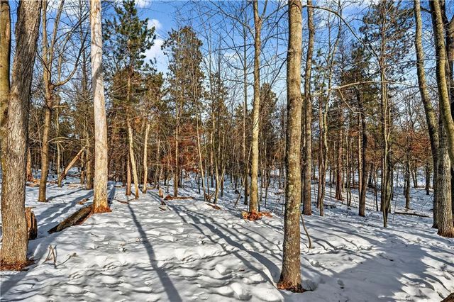 28478 Jesse Ryan Court, Danbury, WI 54830