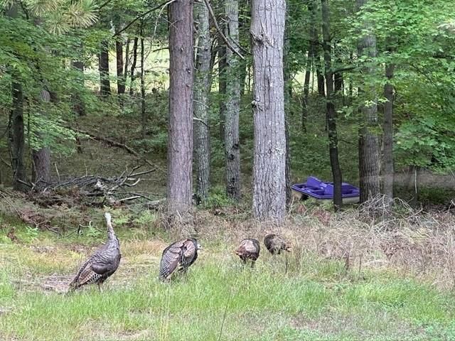 28478 Jesse Ryan Court, Danbury, WI 54830