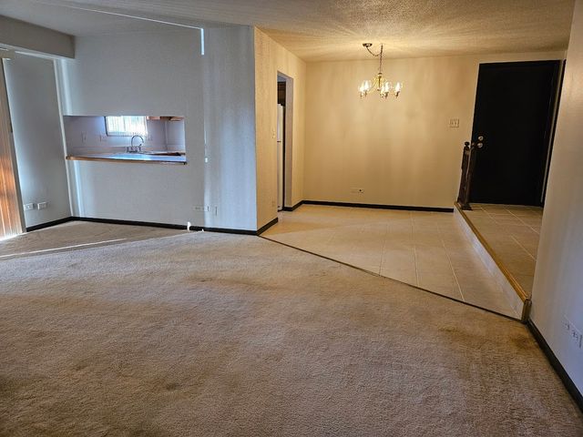 13913 James Drive 1017, Crestwood, IL 60418