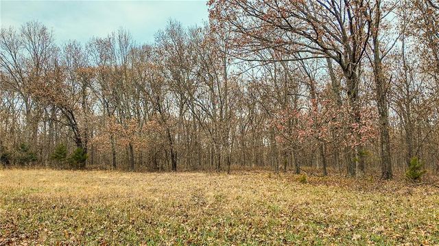 9535 NE 681 Road, Lowry City, MO 64763