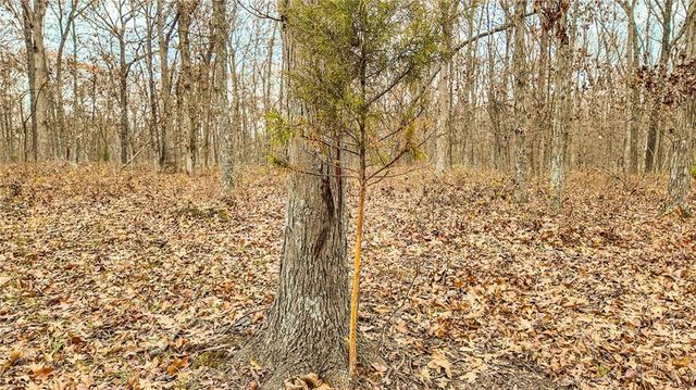 9535 NE 681 Road, Lowry City, MO 64763