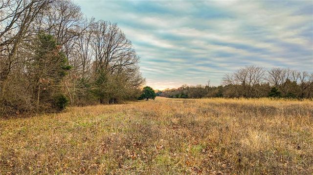 9535 NE 681 Road, Lowry City, MO 64763