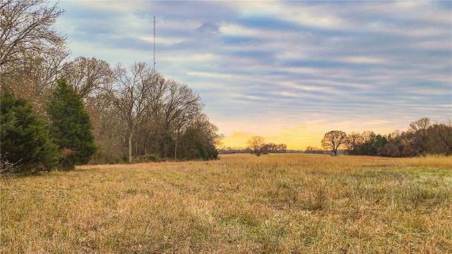 9535 NE 681 Road, Lowry City, MO 64763