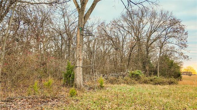 9535 NE 681 Road, Lowry City, MO 64763