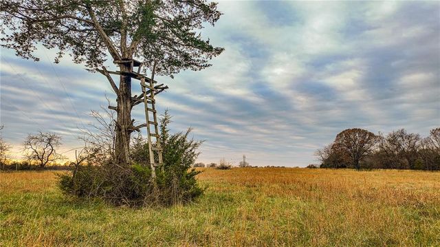 9535 NE 681 Road, Lowry City, MO 64763