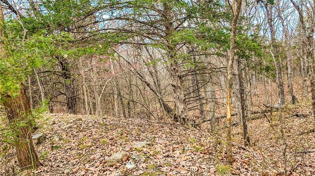 9535 NE 681 Road, Lowry City, MO 64763