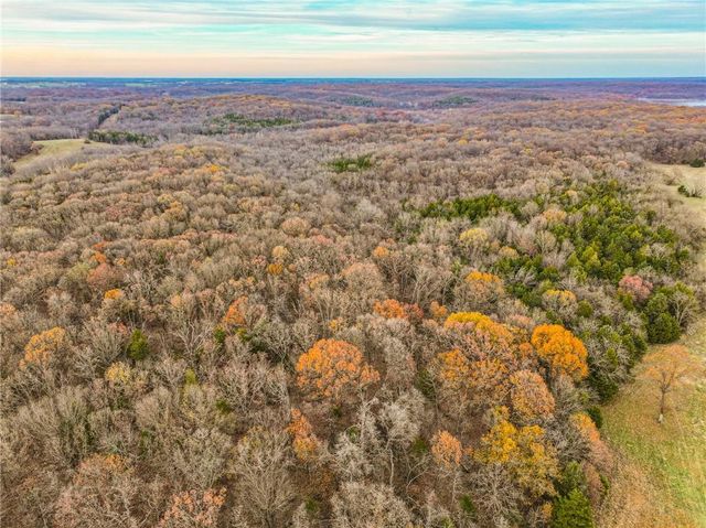 9535 NE 681 Road, Lowry City, MO 64763