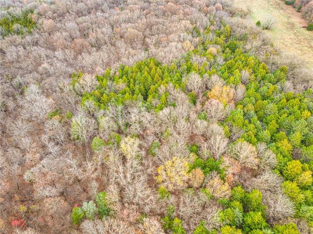 9535 NE 681 Road, Lowry City, MO 64763