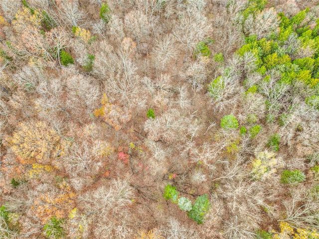 9535 NE 681 Road, Lowry City, MO 64763