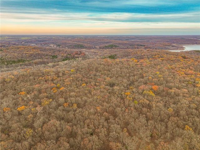 9535 NE 681 Road, Lowry City, MO 64763