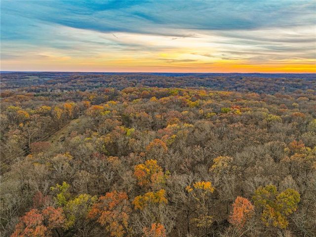 9535 NE 681 Road, Lowry City, MO 64763