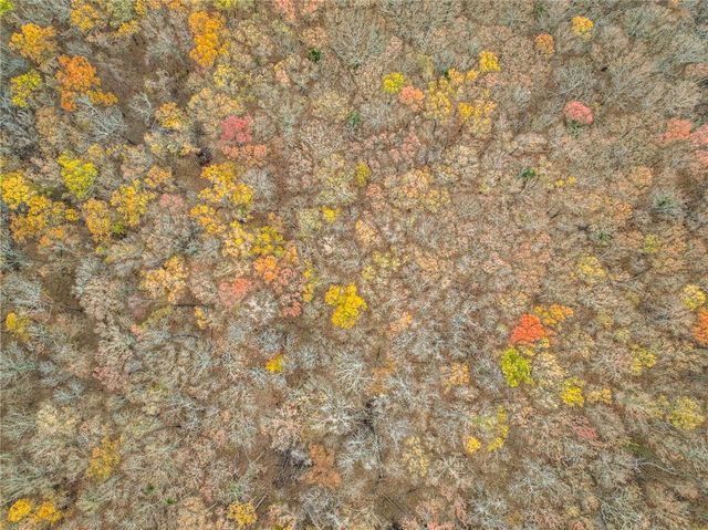 9535 NE 681 Road, Lowry City, MO 64763