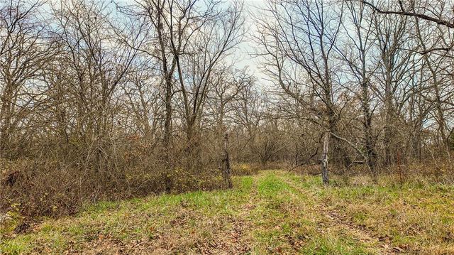 9535 NE 681 Road, Lowry City, MO 64763