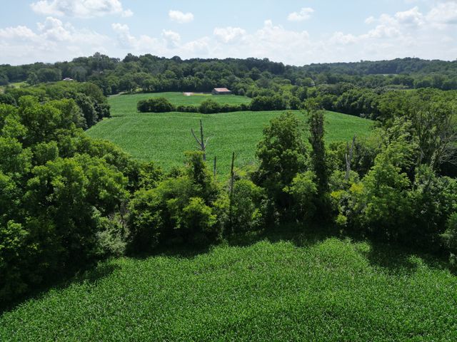 3349 Sweeney Hollow Rd, Franklin, TN 37064