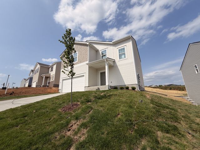 3224 Barrel Oak pass, Columbia, TN 38401