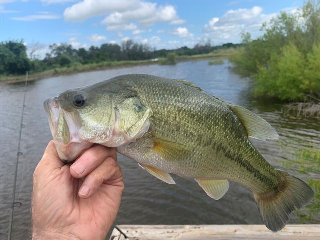 1642 County Road 234, Hico, TX 76457