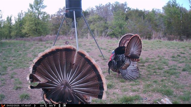 1642 County Road 234, Hico, TX 76457