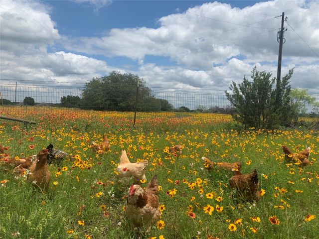 1642 County Road 234, Hico, TX 76457