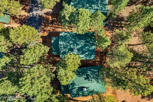 2708 HIGH PINE Loop, Overgaard, AZ 85933