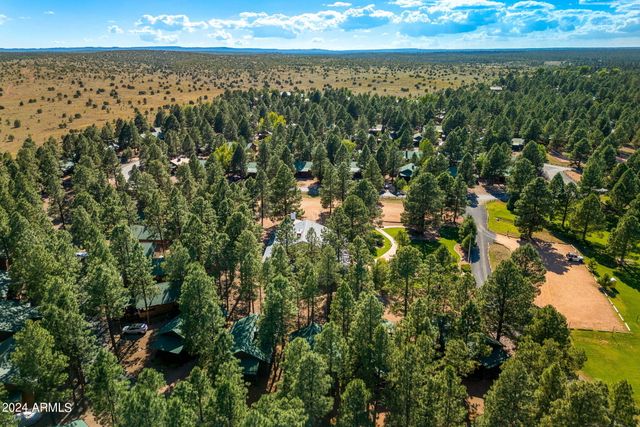 2708 HIGH PINE Loop, Overgaard, AZ 85933