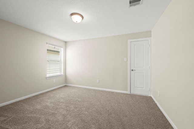 11435 Liger Drive, Tomball, TX 77375