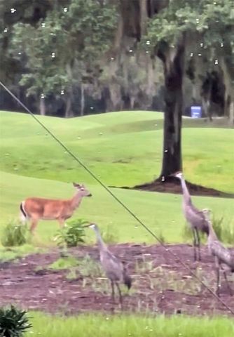 19484 FOREST GARDEN COURT, Brooksville, FL 34601