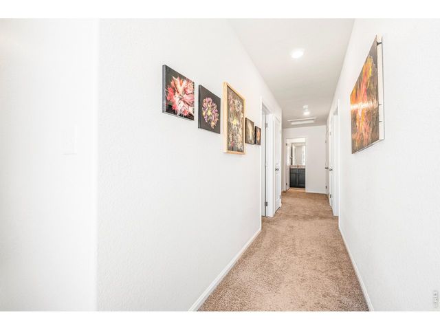 7243 Aspen Brook Ave, Frederick, CO 80530