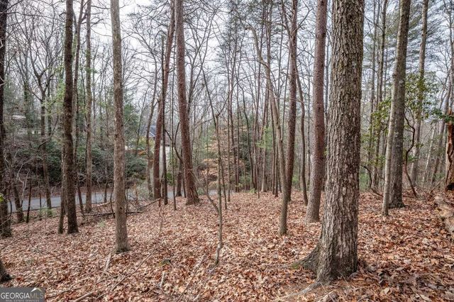 454, 455 Seneca Drive, Ellijay, GA 30540
