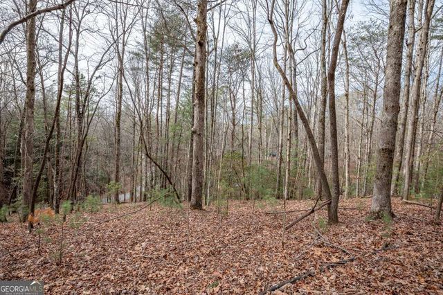 454, 455 Seneca Drive, Ellijay, GA 30540