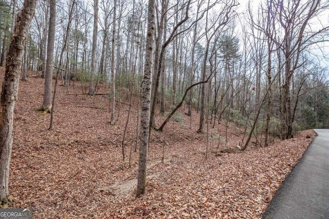 454, 455 Seneca Drive, Ellijay, GA 30540
