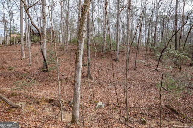 454, 455 Seneca Drive, Ellijay, GA 30540