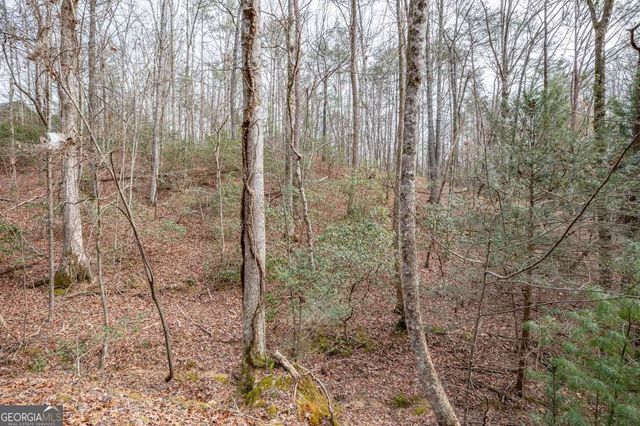 454, 455 Seneca Drive, Ellijay, GA 30540