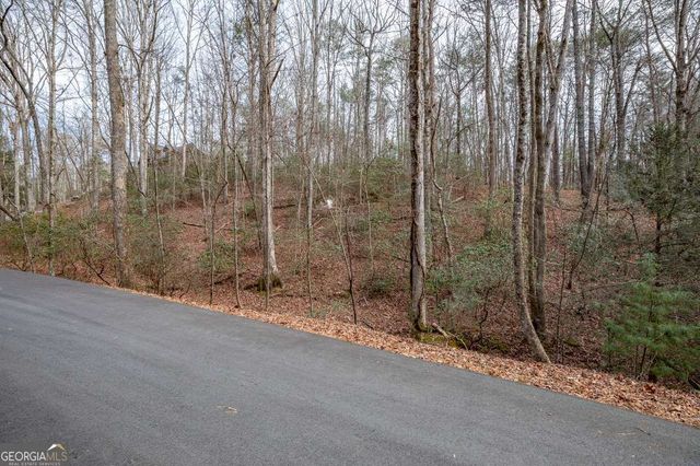 454, 455 Seneca Drive, Ellijay, GA 30540