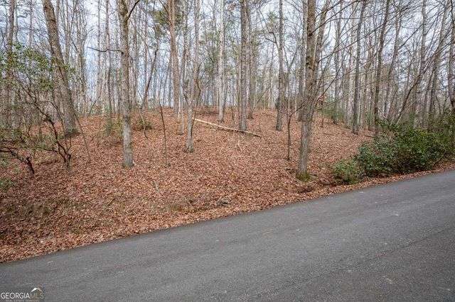 454, 455 Seneca Drive, Ellijay, GA 30540