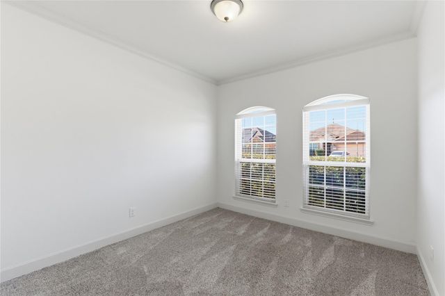 20614 Silver Tea Avenue, Hockley, TX 77447